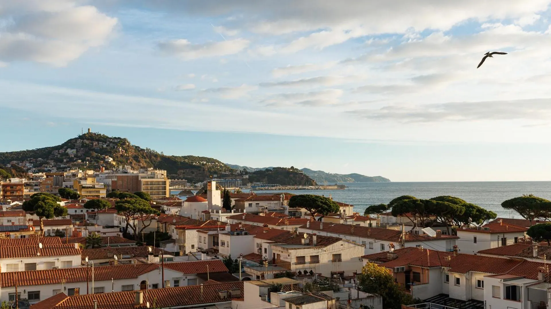 Vistes Al Mar Ideal Per Parelles I Teletreball Blanes Daire